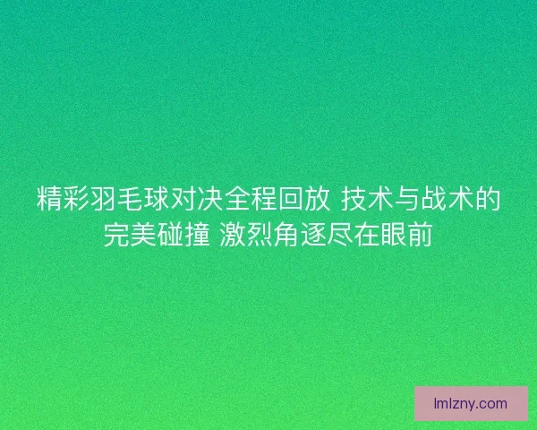 精彩羽毛球对决全程回放 技术与战术的完美碰撞 激烈角逐尽在眼前